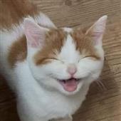 Tr