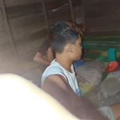 Bó