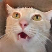 Is
