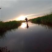 Yêu 