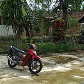 VỪ