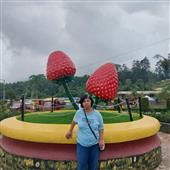 Cước