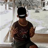 NGŨ 