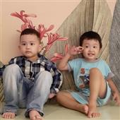 Hộ