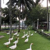 Đại 