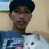 Chip