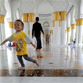 Cung