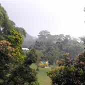 Tỷ