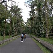TỐ