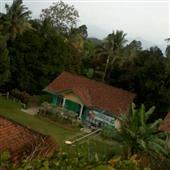 SicB