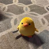 Ng