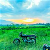 Rồ