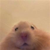 To