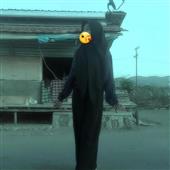 Gấu 