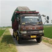 Ng