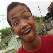 Luật
