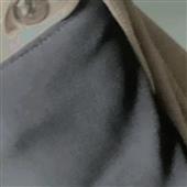 Li