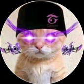 Giấc