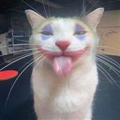 Ch