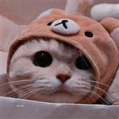 Wo