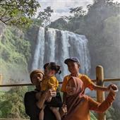 Dự