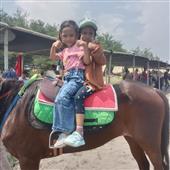 Xó