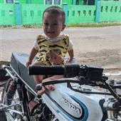 Dự