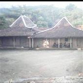 Câu 