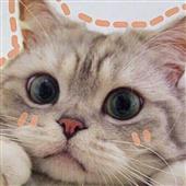 Đa p