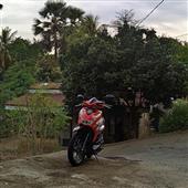 Trực