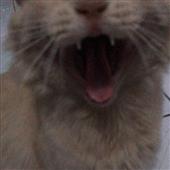 Nă