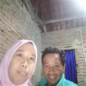 Cây