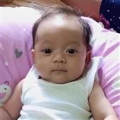 Bầ