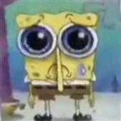 Đồ