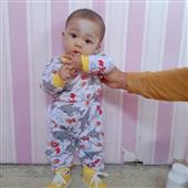 Dự