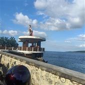 Vua