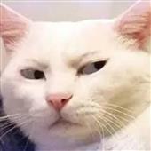 Chúa