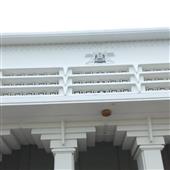 Gấu 