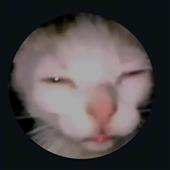 Là