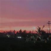 Gi