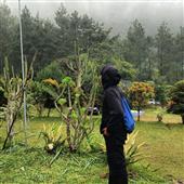 Gà