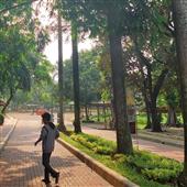 Thuậ