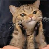 Giải