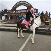 Kế