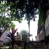 Lờ