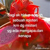 【Bản