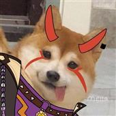 3 Đi