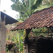 Kỳ