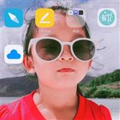 Gr