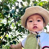 Bắ